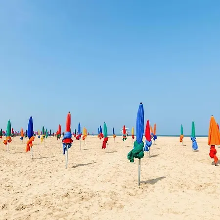 Cosy Deluxe - Centre Deauville