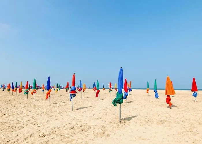 Cosy Deluxe - Centre Deauville